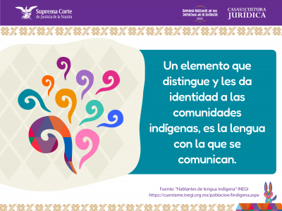 Imagen Datos sobre pueblos indígenas 12