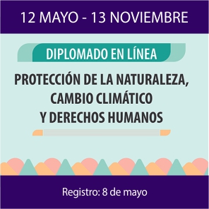 Enlace al Diplomado sobre protección de la naturaleza, cambio climático y derechos humanos