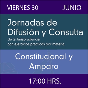 Enlace a Jornadas de Difusión y Consulta de la Jurisprudencia con ejercicios prácticos por materia - Constitucional y Ambiental
