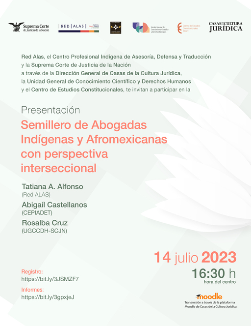 Cartel de la Conferencia: Cortes y cambio social. La diversidad sexual en la jurisprudencia Mexicana 