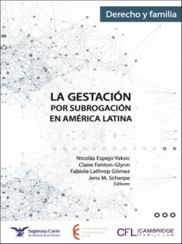 La gestación por subrogación en América latina